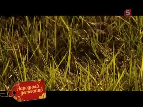 film-958617-trailer-137619.mp4