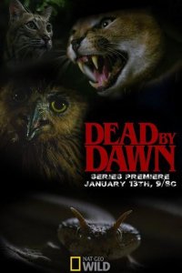 Dead by Dawn