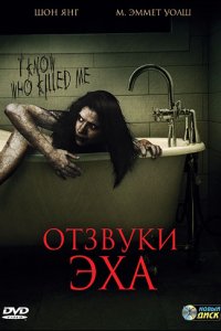 Отзвуки эха (2008)