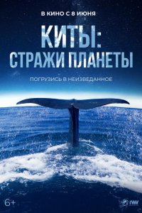 Киты: Стражи планеты (2023)