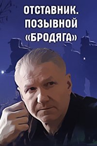 Отставник. Позывной «бродяга» (2017)