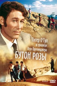 Бутон розы (1975)