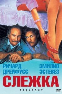 Слежка (1987)