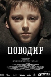 Поводырь (2013)