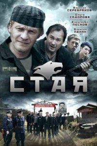 Стая