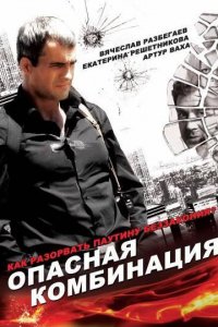 Опасная комбинация (2008)